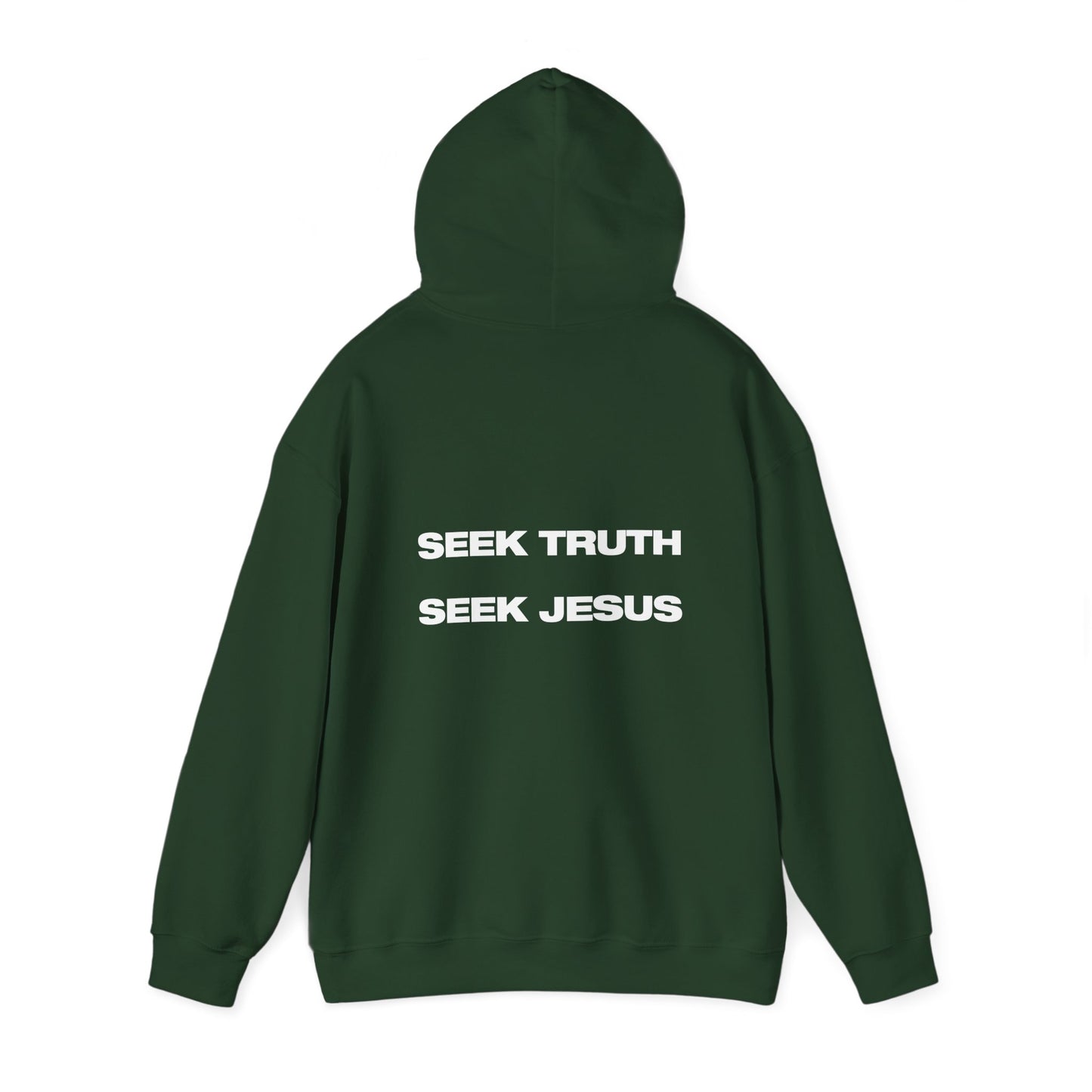 SEEK JESUS - HOODIE